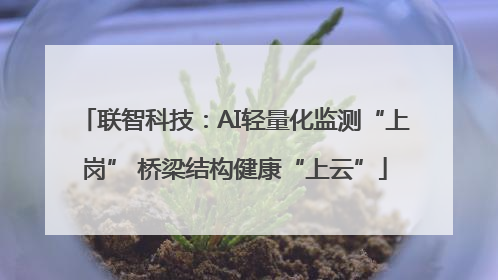 联智科技：AI轻量化监测“上岗” 桥梁结构健康“上云”