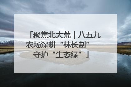 聚焦北大荒｜八五九农场深耕“林长制” 守护“生态绿”