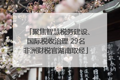 聚焦智慧税务建设、国际税收治理 29名非洲财税官湖南取经