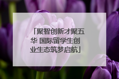 聚智创新才聚五华 国际留学生创业生态筑梦启航