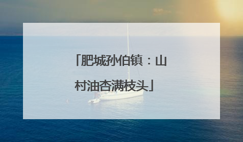 肥城孙伯镇：山村油杏满枝头