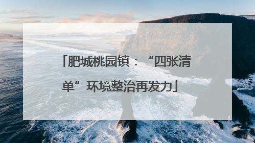 肥城桃园镇：“四张清单”环境整治再发力