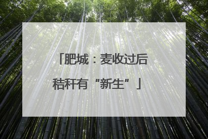 肥城：麦收过后秸秆有“新生”