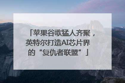 苹果谷歌猛人齐聚，英特尔打造AI芯片界的“复仇者联盟”