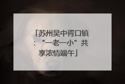 苏州吴中胥口镇：“一老一小”共享浓情端午
