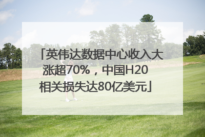 英伟达数据中心收入大涨超70%，中国H20相关损失达80亿美元