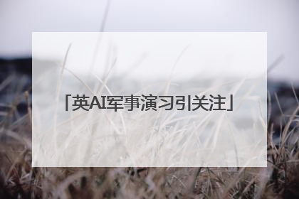 英AI军事演习引关注