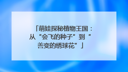 萌娃探秘植物王国：从“会飞的种子”到“善变的绣球花”