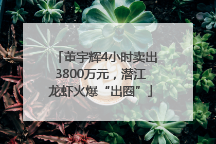 董宇辉4小时卖出3800万元，潜江龙虾火爆“出圈”