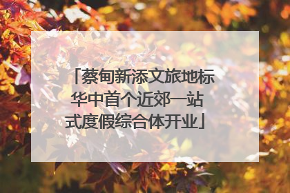蔡甸新添文旅地标 华中首个近郊一站式度假综合体开业