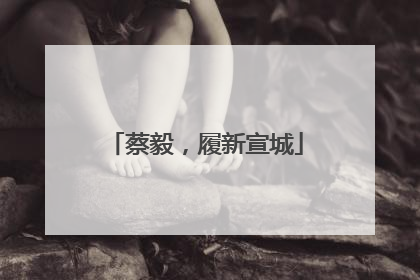 蔡毅，履新宣城