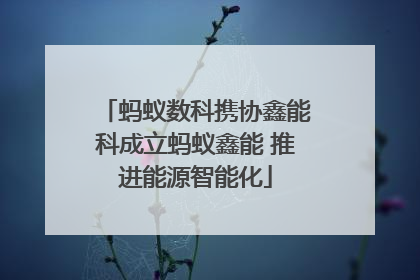 蚂蚁数科携协鑫能科成立蚂蚁鑫能 推进能源智能化