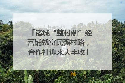 诸城“整村制”经营铺就富民强村路，合作社迎来大丰收