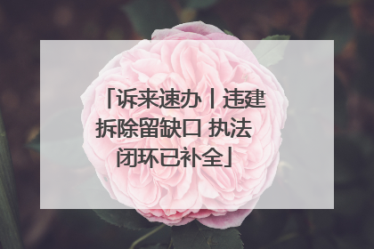 诉来速办丨违建拆除留缺口 执法闭环已补全
