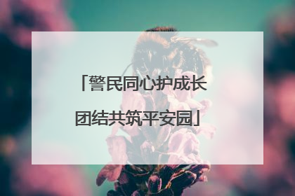 警民同心护成长 团结共筑平安园