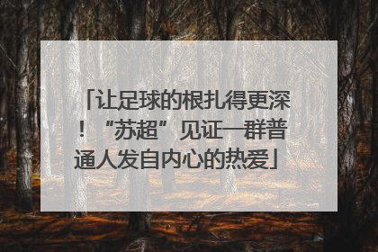 让足球的根扎得更深！“苏超”见证一群普通人发自内心的热爱