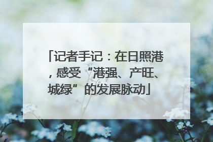 记者手记：在日照港，感受“港强、产旺、城绿”的发展脉动