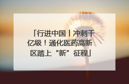 行进中国丨冲刺千亿级！通化医药高新区踏上“新”征程
