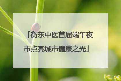 衡东中医首届端午夜市点亮城市健康之光