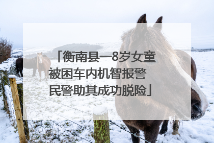 衡南县一8岁女童被困车内机智报警 民警助其成功脱险