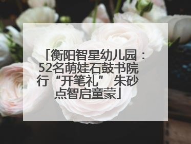 衡阳智星幼儿园：52名萌娃石鼓书院行“开笔礼” 朱砂点智启童蒙