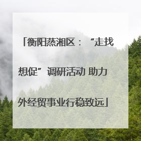 衡阳蒸湘区：“走找想促”调研活动 助力外经贸事业行稳致远