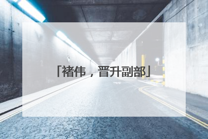 褚伟，晋升副部