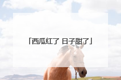 西瓜红了 日子甜了