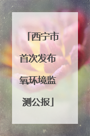 西宁市首次发布氧环境监测公报