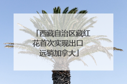 西藏自治区藏红花首次实现出口 远销加拿大
