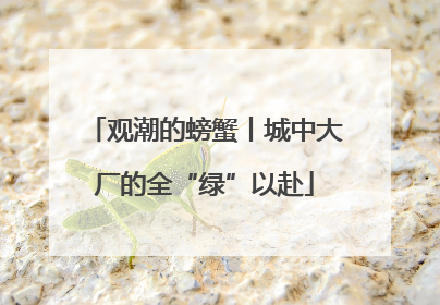 观潮的螃蟹丨城中大厂的全“绿”以赴