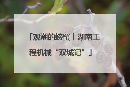 观潮的螃蟹丨湖南工程机械“双城记”