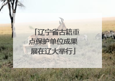 辽宁省古籍重点保护单位成果展在辽大举行