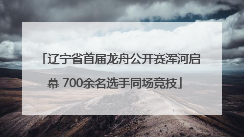 辽宁省首届龙舟公开赛浑河启幕 700余名选手同场竞技