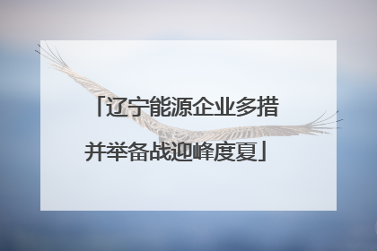 辽宁能源企业多措并举备战迎峰度夏