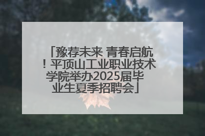 豫荐未来 青春启航！平顶山工业职业技术学院举办2025届毕业生夏季招聘会