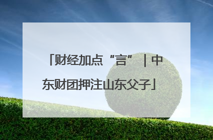财经加点“言”｜中东财团押注山东父子
