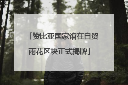 赞比亚国家馆在自贸雨花区块正式揭牌
