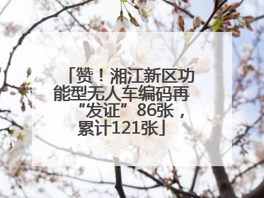 赞！湘江新区功能型无人车编码再“发证”86张，累计121张