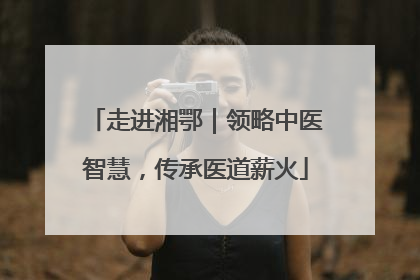 走进湘鄂｜领略中医智慧，传承医道薪火