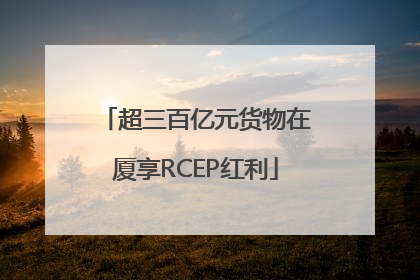 超三百亿元货物在厦享RCEP红利