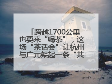跨越1700公里也要来“喝茶”，这场“茶话会”让杭州与广元架起一条“共富之路”