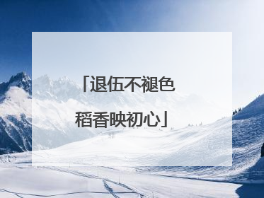 退伍不褪色 稻香映初心