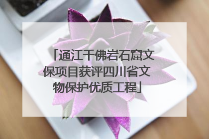 通江千佛岩石窟文保项目获评四川省文物保护优质工程