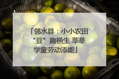 邻水县：小小农田“豆”趣横生 莘莘学童劳动添能