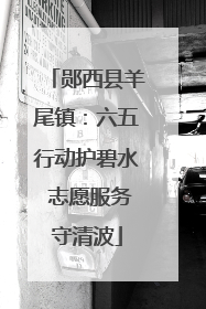 郧西县羊尾镇：六五行动护碧水 志愿服务守清波