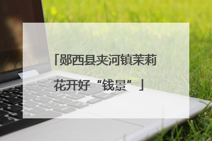 郧西县夹河镇茉莉花开好“钱景”