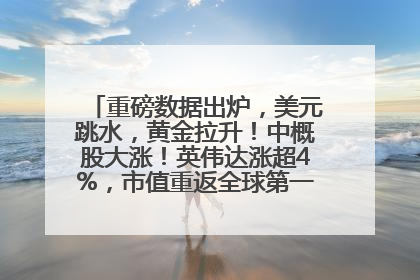 重磅数据出炉，美元跳水，黄金拉升！中概股大涨！英伟达涨超4%，市值重返全球第一！黄仁勋计划出售至多600万股股票