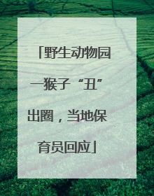 野生动物园一猴子“丑”出圈，当地保育员回应