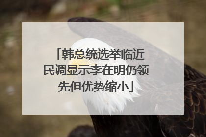 韩总统选举临近 民调显示李在明仍领先但优势缩小